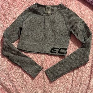Gray Echt Comfort Long Sleeve Crop Top